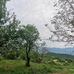 къщата на музиканта Leshten