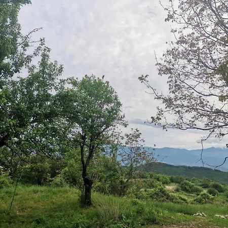 къщата на музиканта Лещен