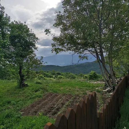 Къща за гости къщата на музиканта