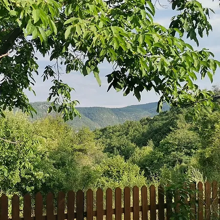 къщата на музиканта Guest house