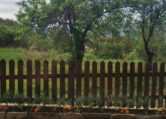 къщата на музиканта Guest house