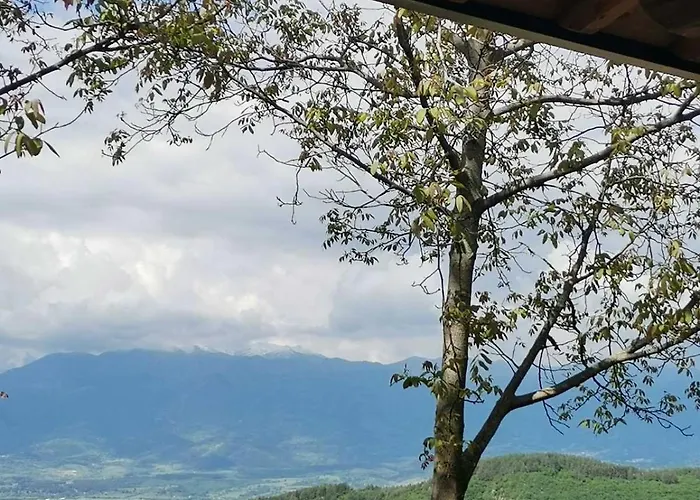 Guest house къщата на музиканта