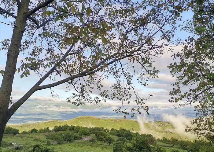 къщата на музиканта 3*