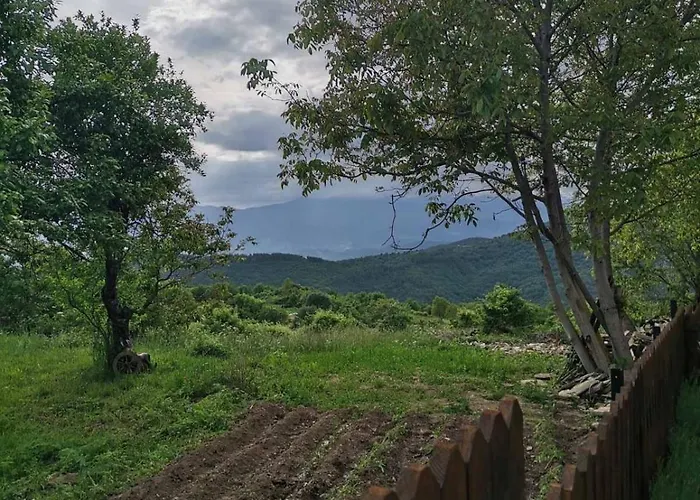 Guest house къщата на музиканта