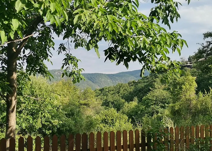 къщата на музиканта Guest house