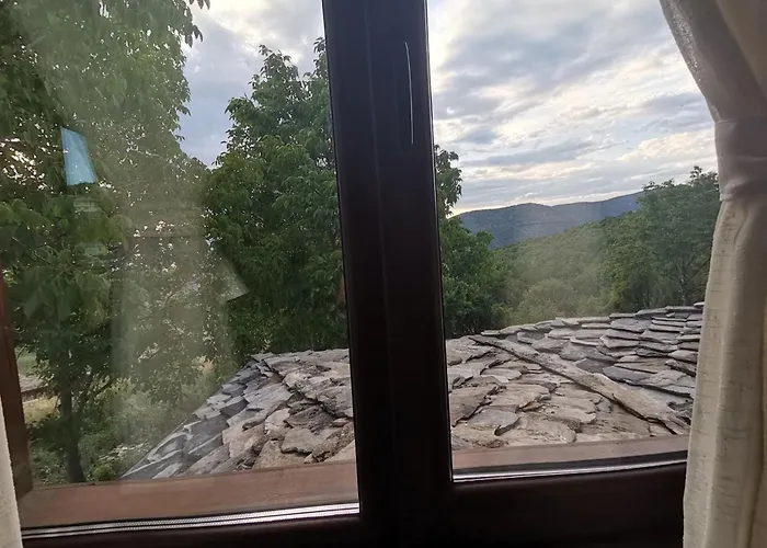 Guest house къщата на музиканта