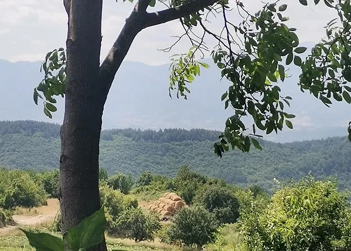 къщата на музиканта 3*